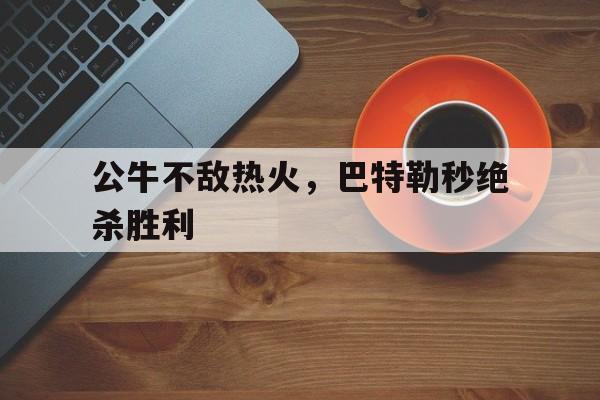 公牛不敌热火，巴特勒秒绝杀胜利的简单介绍