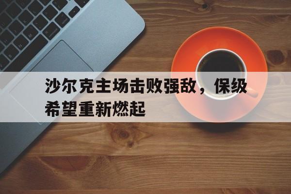 沙尔克主场击败强敌，保级希望重新燃起的简单介绍