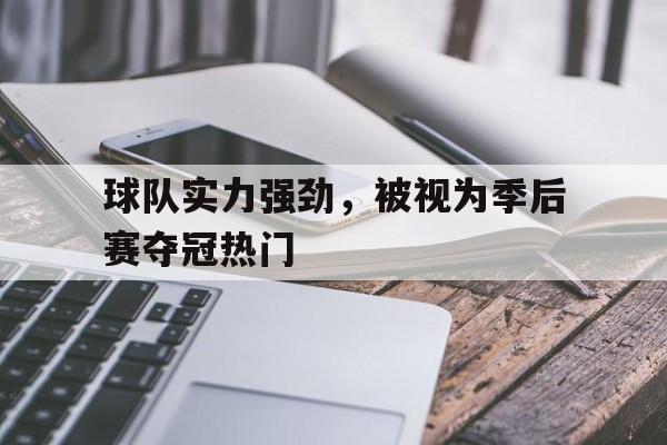 球队实力强劲，被视为季后赛夺冠热门
