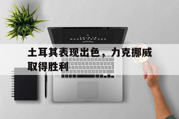 土耳其表现出色，力克挪威取得胜利的简单介绍