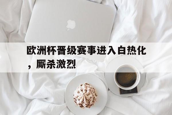 欧洲杯晋级赛事进入白热化，厮杀激烈的简单介绍