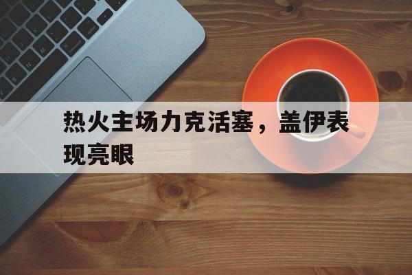 热火主场力克活塞，盖伊表现亮眼的简单介绍
