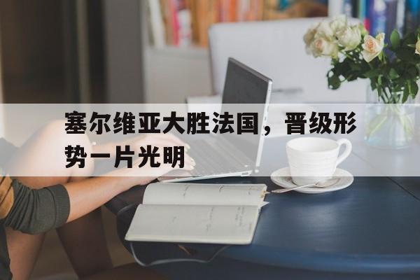塞尔维亚大胜法国，晋级形势一片光明的简单介绍
