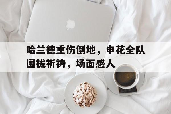 哈兰德重伤倒地，申花全队围拢祈祷，场面感人哈兰德踢球视频
